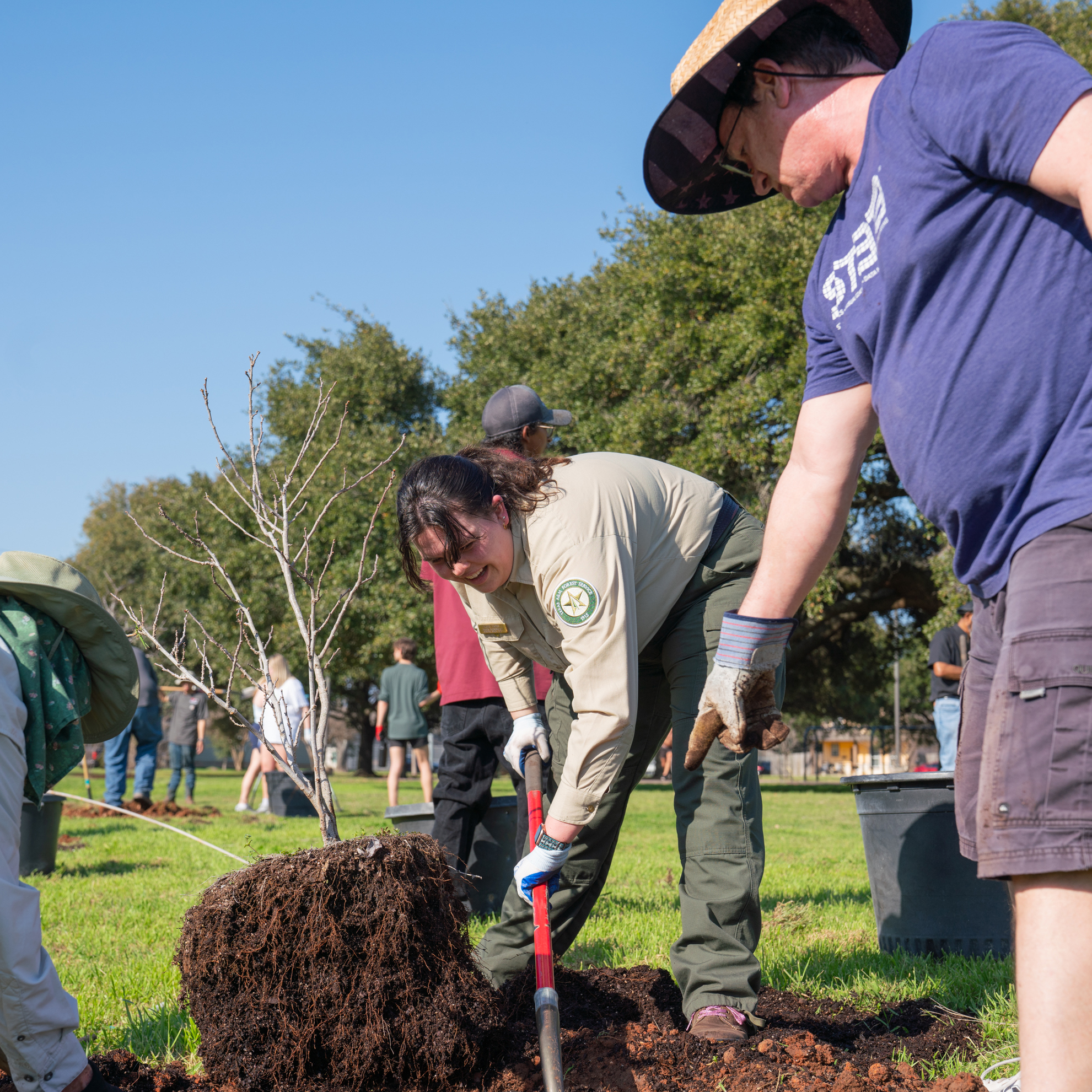 Texas A&amp;M Forest Service is offering $12.4 million in grant funding through the Community Forestry Grants program to enhance community forestry initiatives throughout the state.